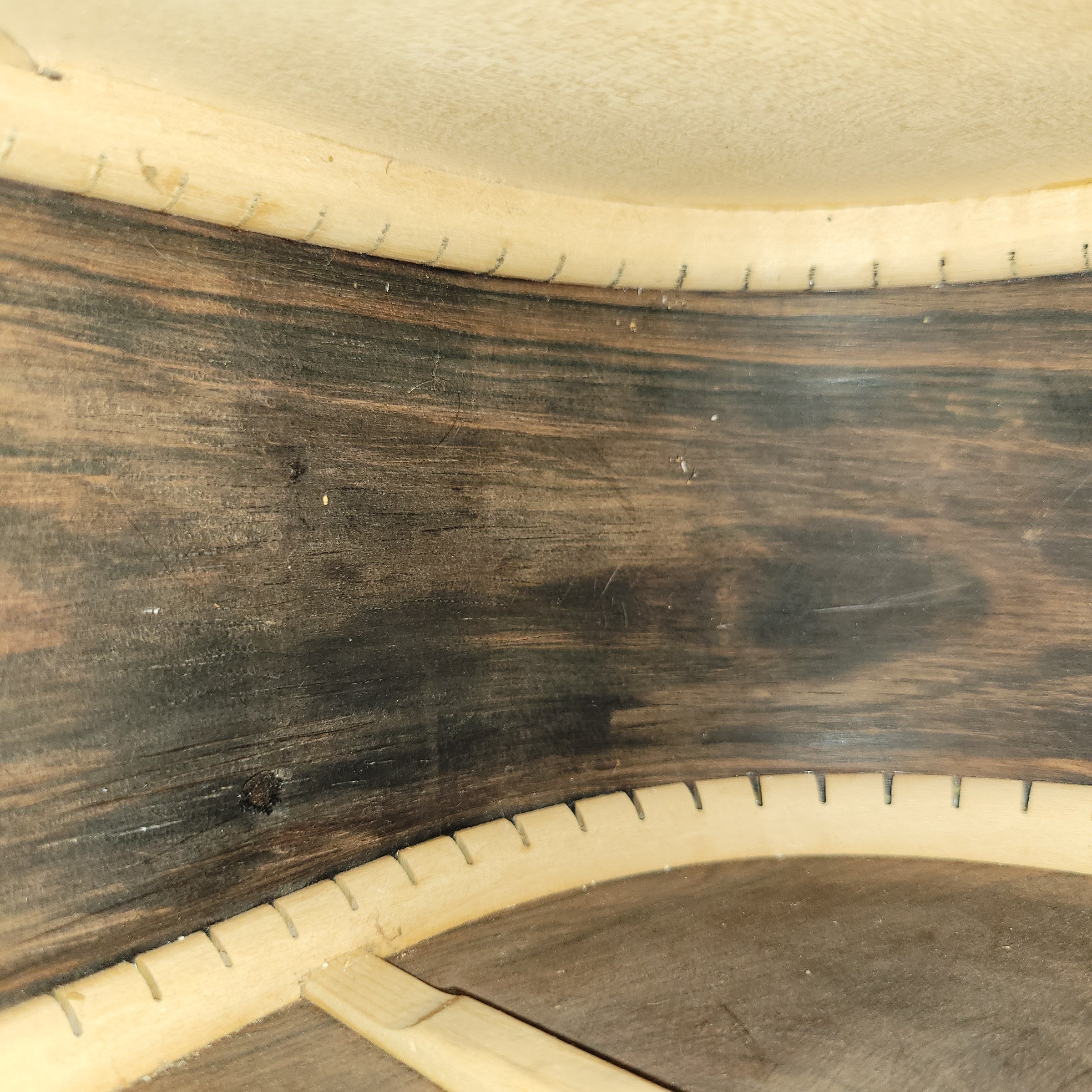 Roy Noble DH-100 Dreadnought Brazillian w/Case 1996