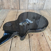 Agile AL - 2000 Les Paul Style Electric Guitar – Locking Tremolo System, Carved Top - Mahar's Vintage Guitars