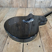 Agile AL - 2000 Les Paul Style Electric Guitar – Locking Tremolo System, Carved Top - Mahar's Vintage Guitars