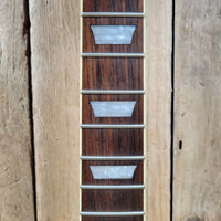 Agile AL - 2000 Les Paul Style Electric Guitar – Locking Tremolo System, Carved Top - Mahar's Vintage Guitars