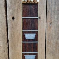 Agile AL - 2000 Les Paul Style Electric Guitar – Locking Tremolo System, Carved Top - Mahar's Vintage Guitars