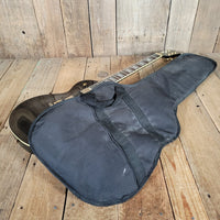 Agile AL - 2000 Les Paul Style Electric Guitar – Locking Tremolo System, Carved Top - Mahar's Vintage Guitars