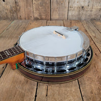 Alvarez Deluxe 5 - String Banjo 1970s – Japanese Mastercraft, Resonator Bluegrass Banjo - Mahar's Vintage Guitars