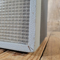 Dynacord Twen Vibrato (r) 1960s - Mahar's Vintage Guitars