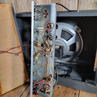 Dynacord Twen Vibrato (r) 1960s - Mahar's Vintage Guitars