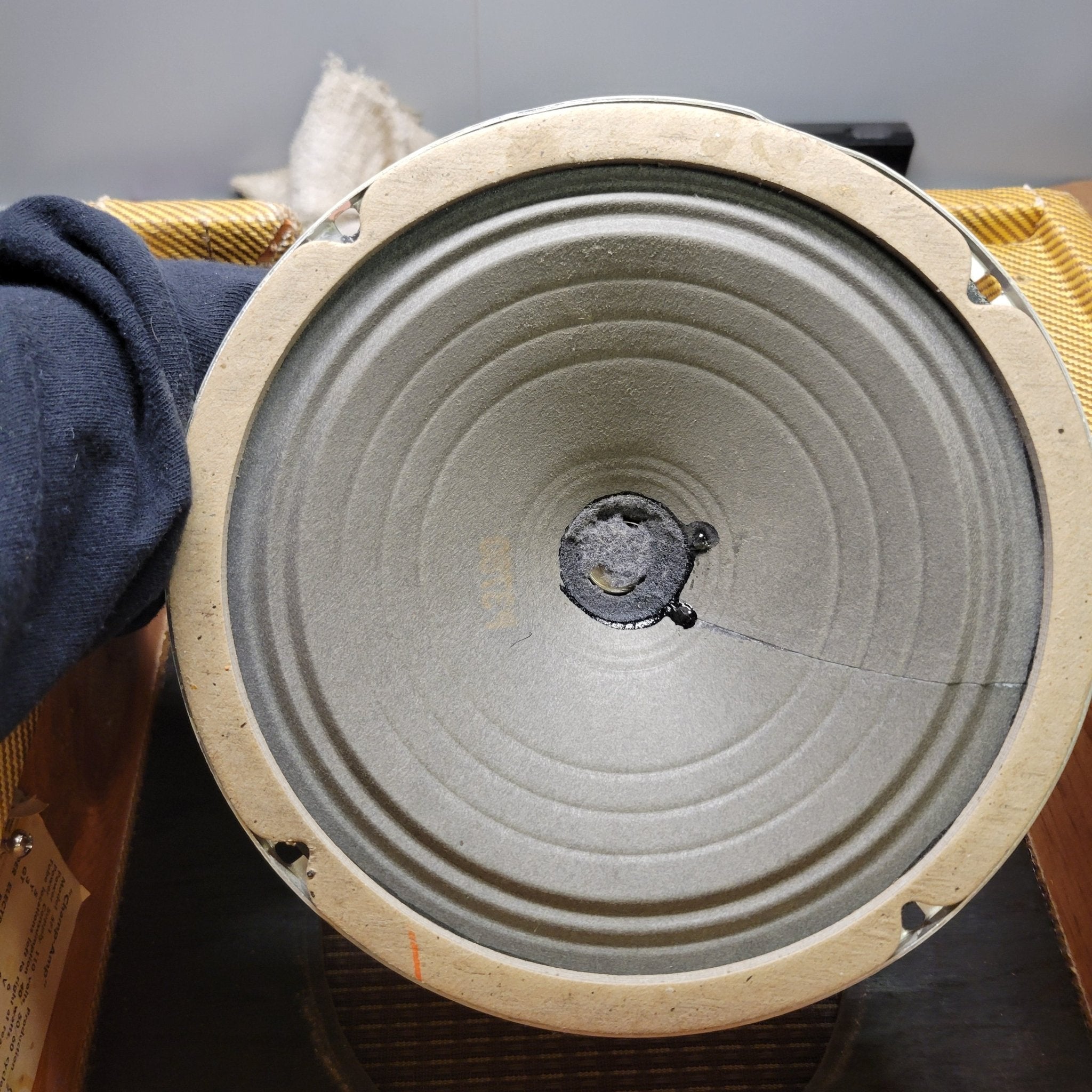 Fender Champ 5F1 1961 - The Cleanest One - Mahar's Vintage Guitars