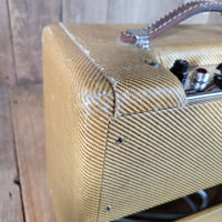 Fender Champ 5F1 1961 - The Cleanest One - Mahar's Vintage Guitars