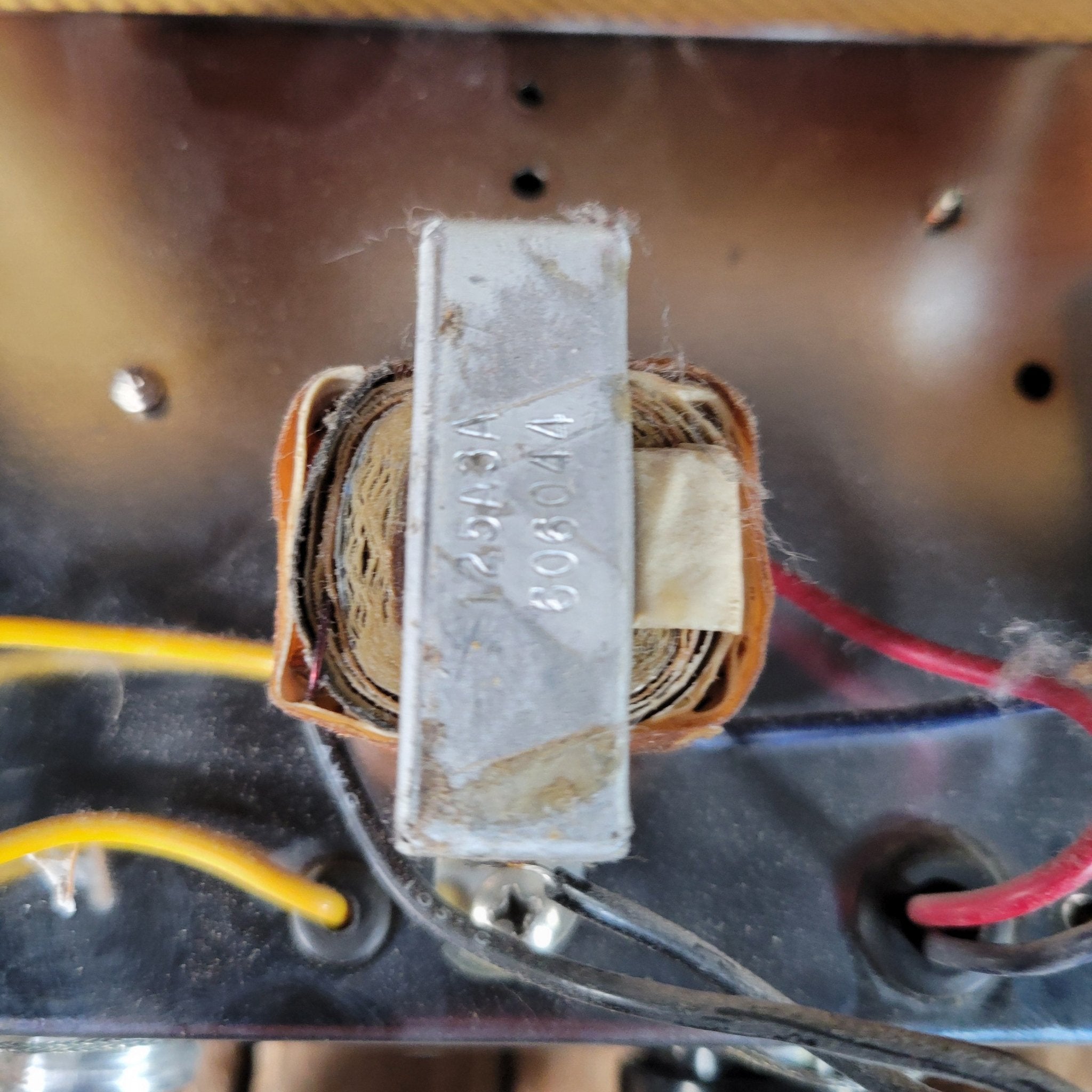 Fender Champ 5F1 1961 - The Cleanest One - Mahar's Vintage Guitars