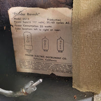 Fender Reverb Unit 6G15 1963 Rough White Tolex - Mahar's Vintage Guitars