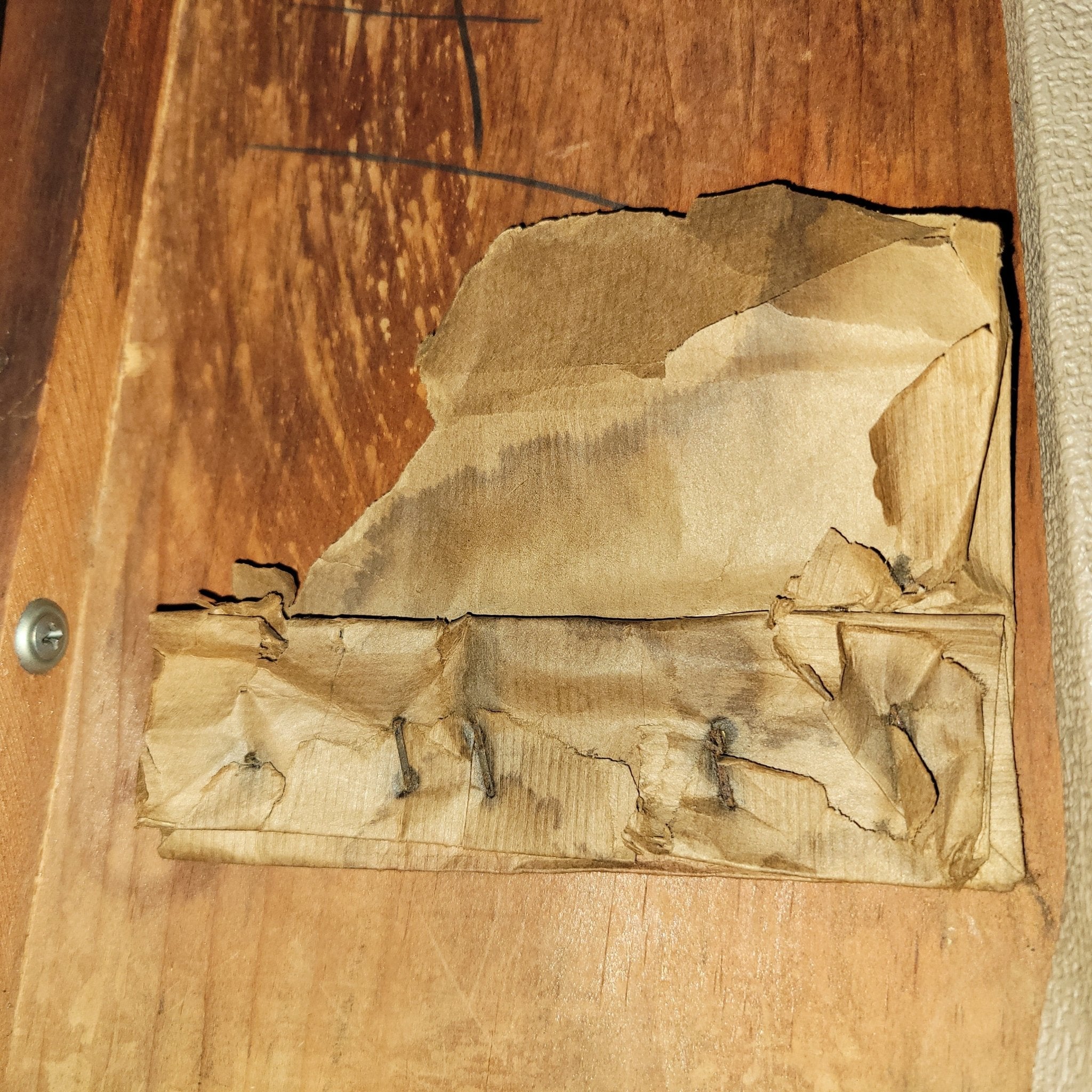 Fender Super Amp 6G4 November 1960 "Pink" Brown Tolex 1960 - Mahar's Vintage Guitars