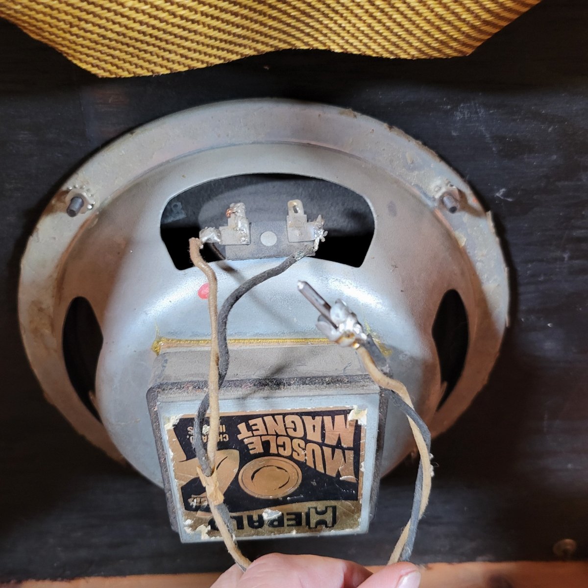 Fender Tweed Princeton 5F2 - A 1960 - Mahar's Vintage Guitars