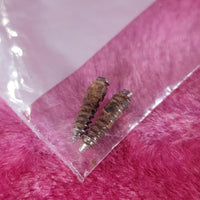 Gibson ES - 330TD Special order - ES - 175 Tailpiece and Grovers 1960 - Mahar's Vintage Guitars