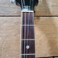 Gibson ETG - 150 Electric Tenor Guitar – 1948, Rare (19 Made) with Hard Case - Mahar's Vintage Guitars