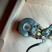 Hagstrom H - 33E 12 String 1960s Sunburst - Mahar's Vintage Guitars