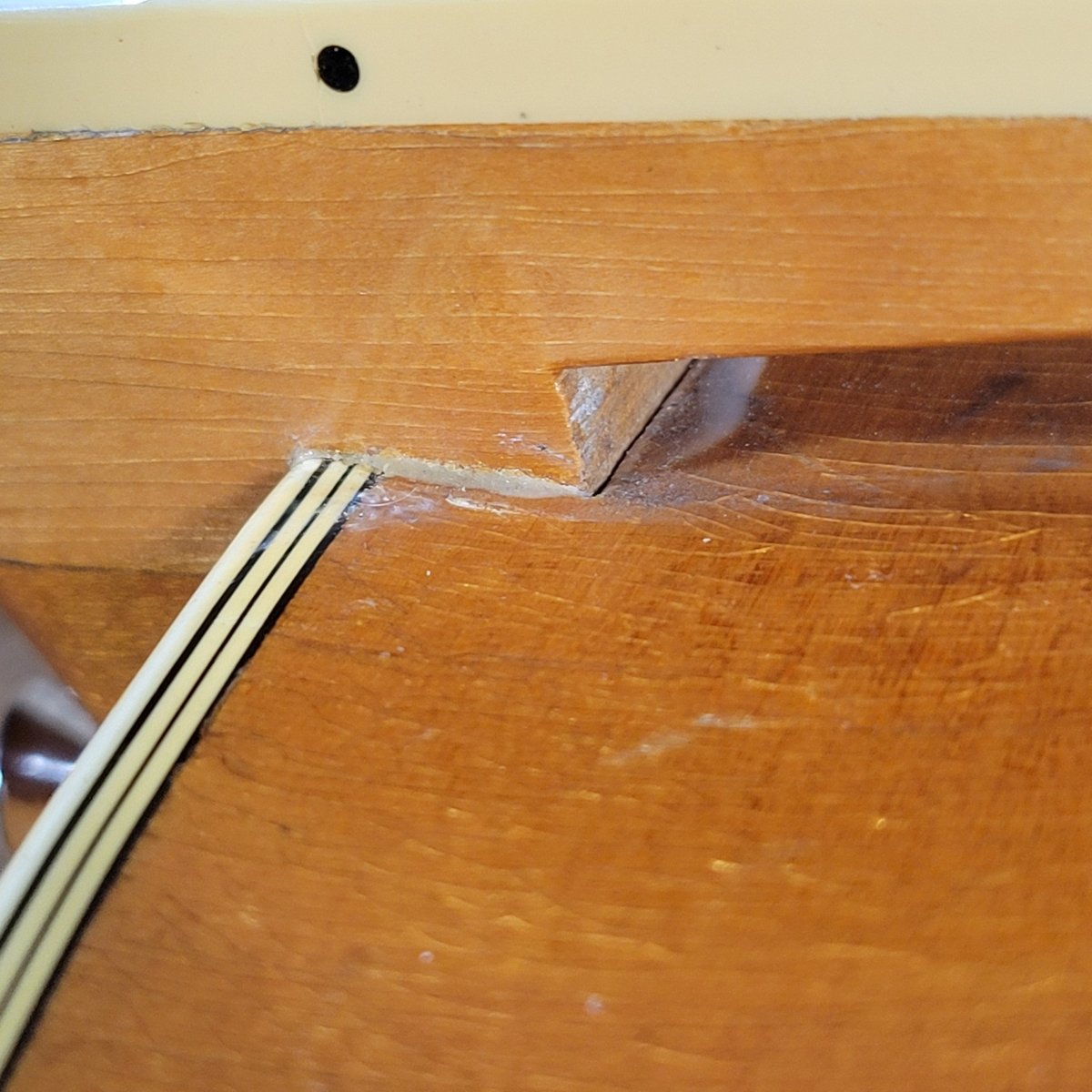 Höfner 1956 President Blonde Round Panel Archtop Guitar – Vintage German Craftsmanship - Mahar's Vintage Guitars