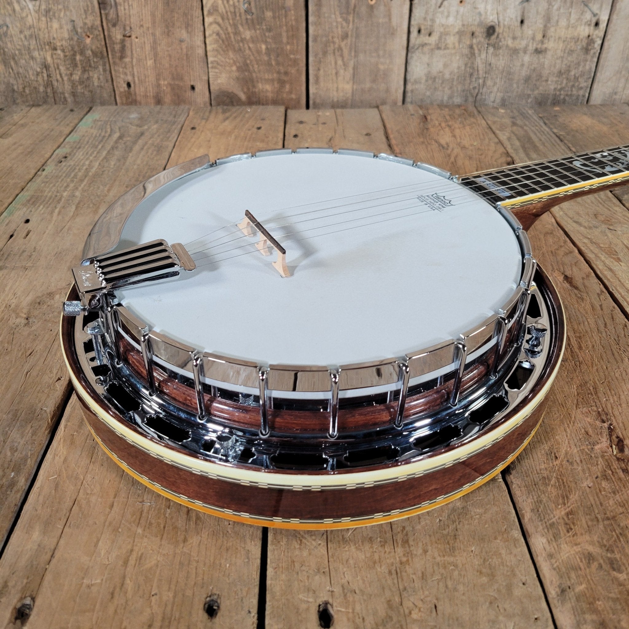 Ibanez 1970s Artist Model 593 “Tree of Life” 5 - String Banjo – Near Mint, Vintage Japanese Craftsmanship - Mahar's Vintage Guitars