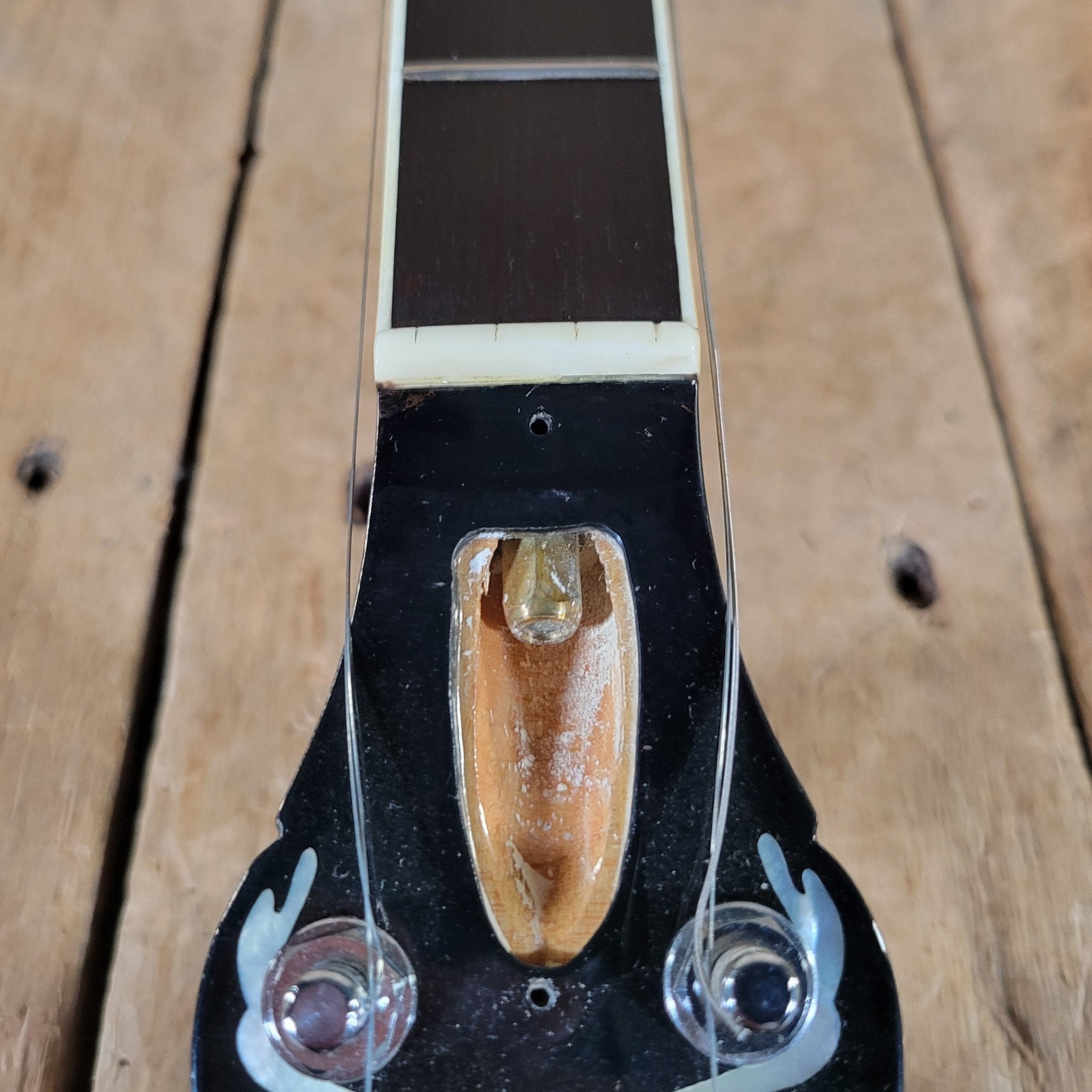 Ibanez 1970s Artist Model 593 “Tree of Life” 5 - String Banjo – Near Mint, Vintage Japanese Craftsmanship - Mahar's Vintage Guitars