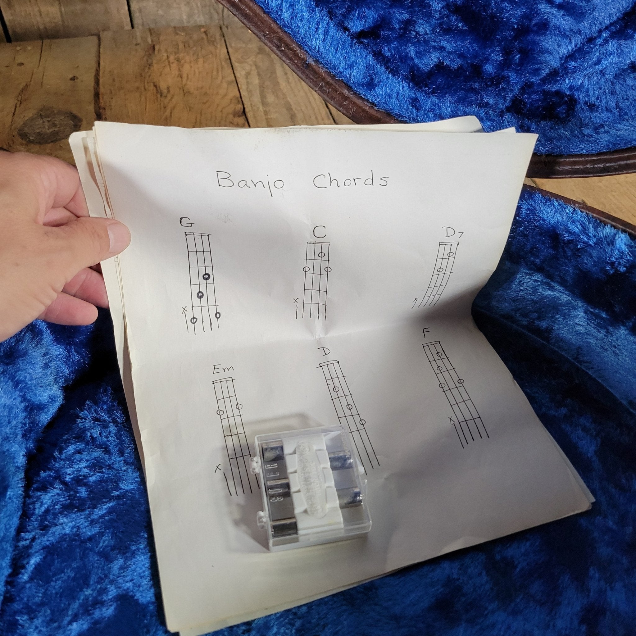 Ibanez 1970s Artist Model 593 “Tree of Life” 5 - String Banjo – Near Mint, Vintage Japanese Craftsmanship - Mahar's Vintage Guitars