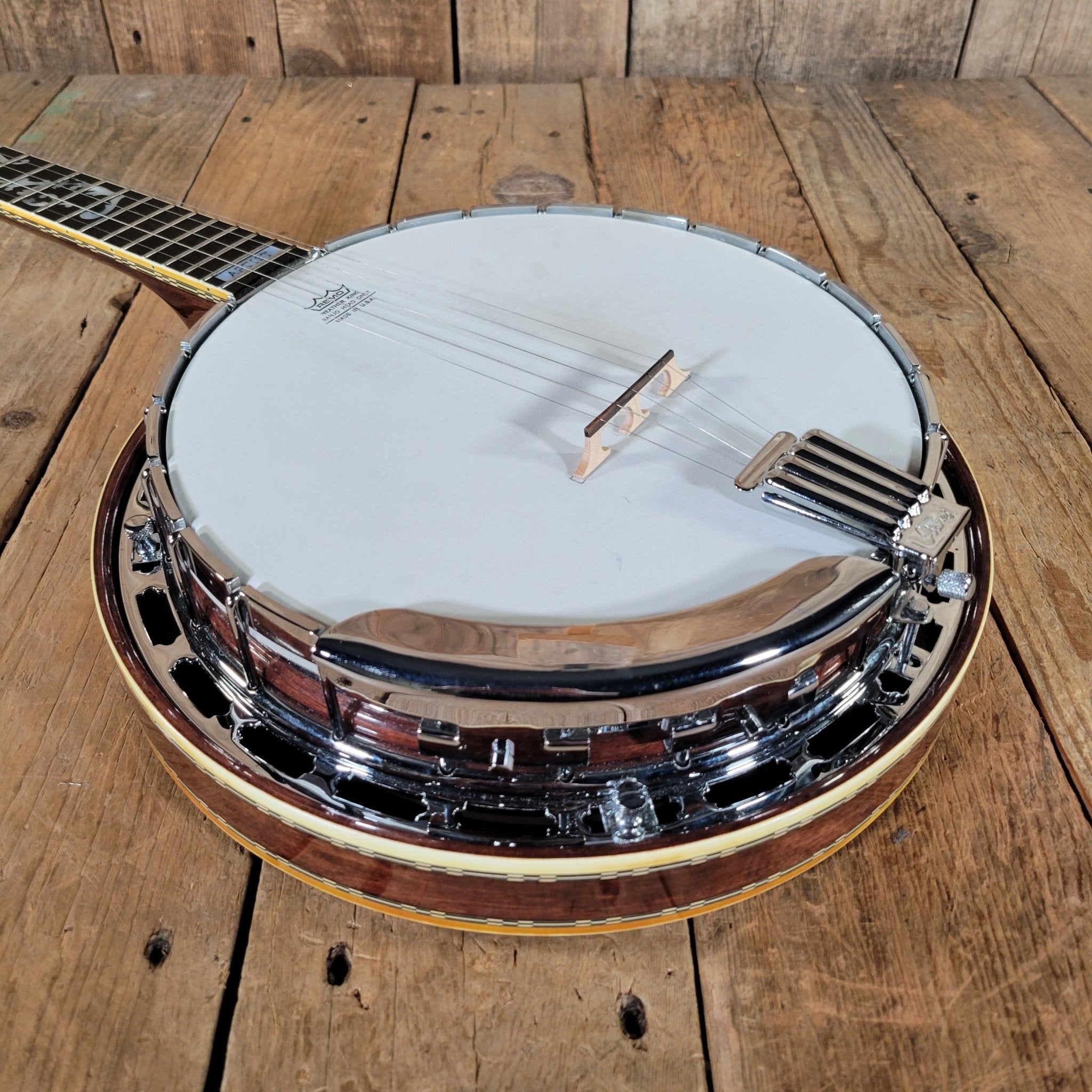 Ibanez 1970s Artist Model 593 “Tree of Life” 5 - String Banjo – Near Mint, Vintage Japanese Craftsmanship - Mahar's Vintage Guitars