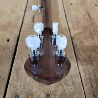 Ibanez 1970s Artist Model 593 “Tree of Life” 5 - String Banjo – Near Mint, Vintage Japanese Craftsmanship - Mahar's Vintage Guitars