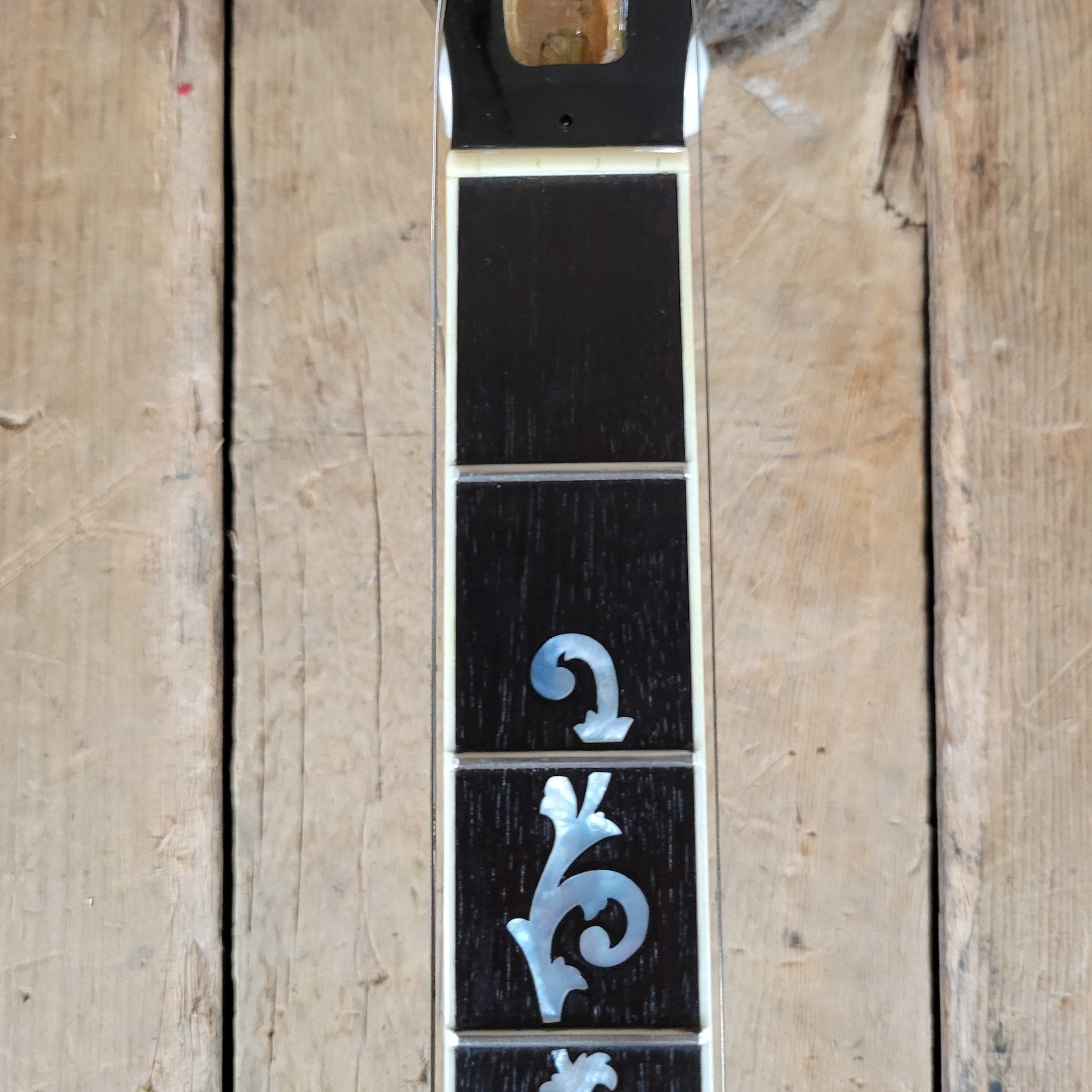 Ibanez 1970s Artist Model 593 “Tree of Life” 5 - String Banjo – Near Mint, Vintage Japanese Craftsmanship - Mahar's Vintage Guitars