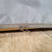 Lil Dawg TopDawg Tweed Bassman - Style Tube Guitar Amp 2010– Handwired 5F6 - A Circuit - Mahar's Vintage Guitars