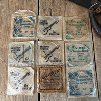 Rare 1930s "The Gibson" Poinsettia Ukulele – Hand - Painted Style 3 Soprano with Floral Motif 1926 - 1929 - Mahar's Vintage Guitars