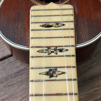 Rare 1930s "The Gibson" Poinsettia Ukulele – Hand - Painted Style 3 Soprano with Floral Motif 1926 - 1929 - Mahar's Vintage Guitars