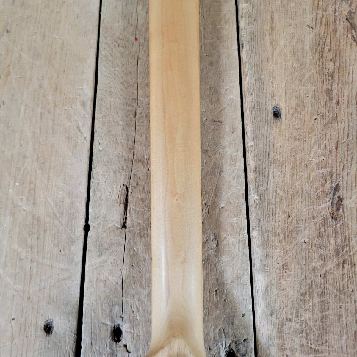 Reverend Buckshot 2023 – Near Mint with Hard Case, Modern Offset Electric - Mahar's Vintage Guitars