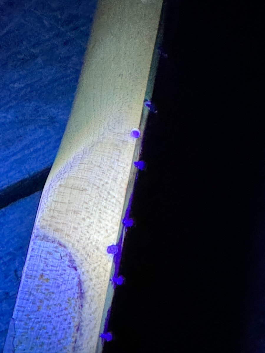 SOLD - Fender Stratocaster 1961 Dakota Red Refin - Mahar's Vintage Guitars