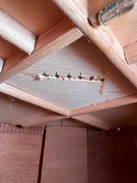 SOLD - Gibson J - 50 Deluxe 1975 Natural - Mahar's Vintage Guitars