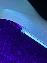 SOLD - Rickenbacker 4005 Bass 1966 Fireglo - Mahar's Vintage Guitars