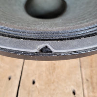 Tone Tubby Super Boy Hemp Cone 15" Bass 15 speaker 4 ohms EV JBL - Mahar's Vintage Guitars