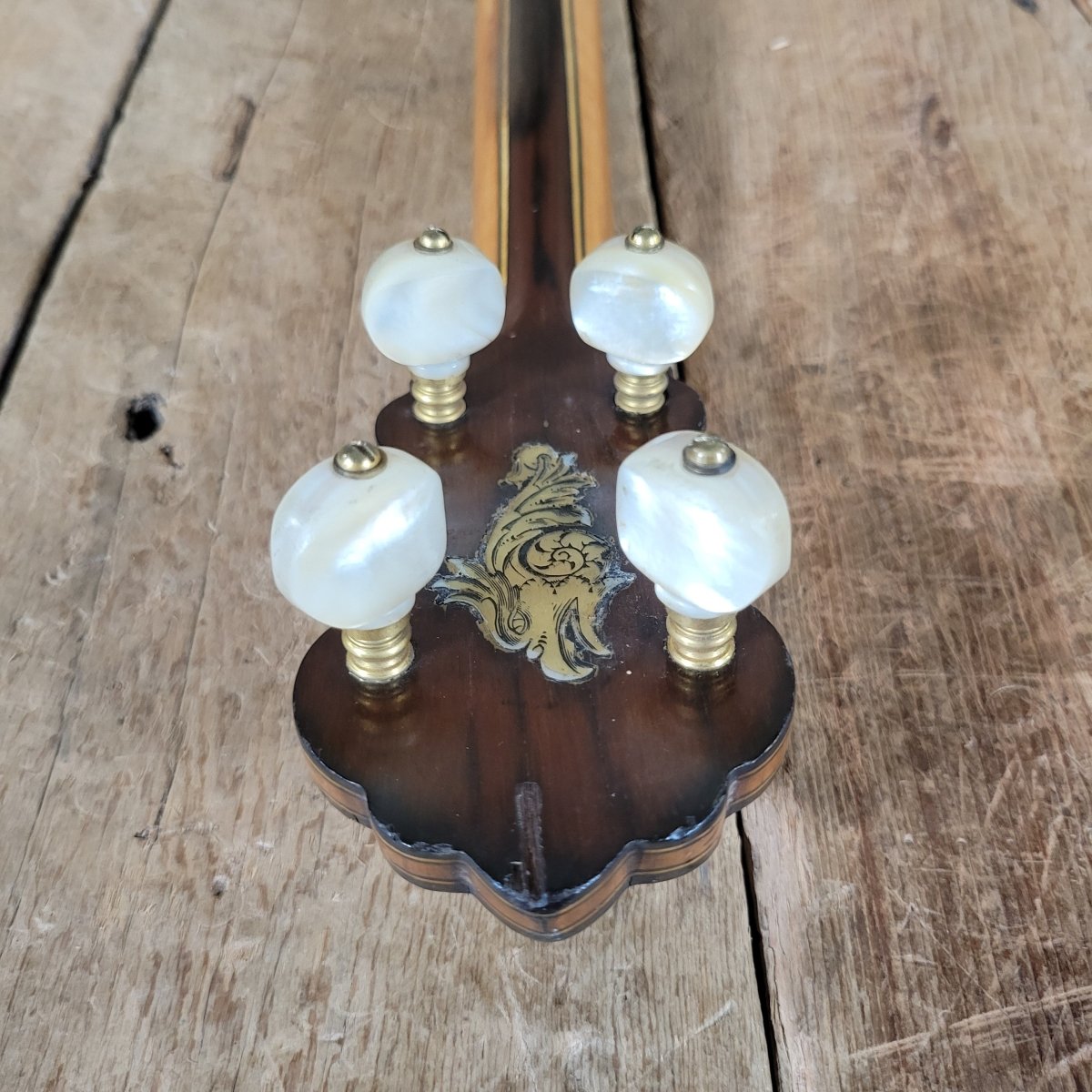 Vega Whyte Laydie No. 7 5 String Banjo Original Case Fairbanks 1906 - 1907 - Mahar's Vintage Guitars