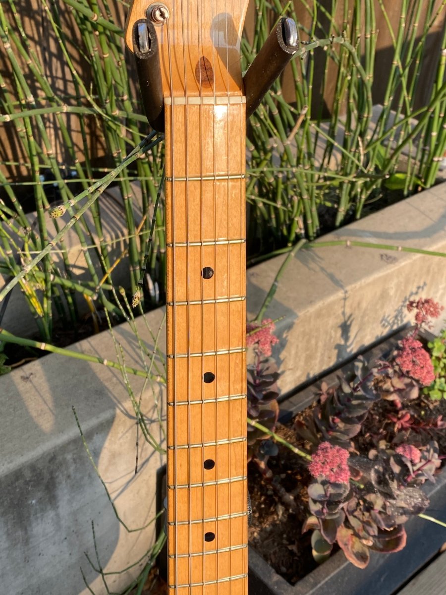 SOLD - Fender Telecaster Custom with factory Bigsby 1969 - Mahar's Vintage Guitars