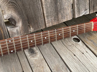 SOLD - Jerry Jones Neptune Short Horn Baritone Guitar 1992 - 1998 - Mahar's Vintage Guitars