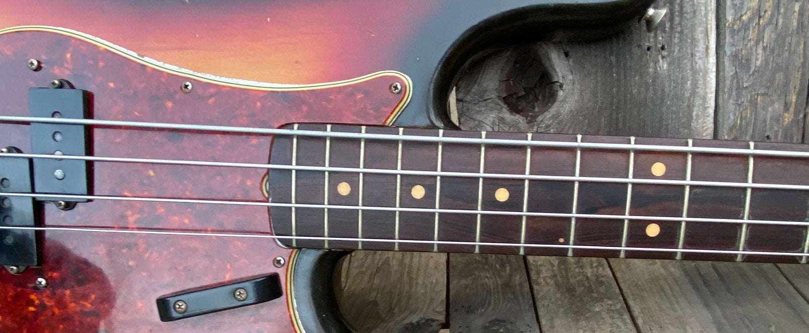 Vintage & Modern Bass Guitars — Electric & Acoustic