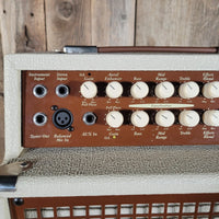 2013 SWR California Blonde 200W Acoustic Guitar Combo Amp - 2 - Channel 1x12" Amplifier for Singer - Songwriters - Mahar's Vintage Guitars