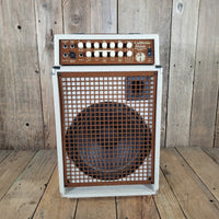 2013 SWR California Blonde 200W Acoustic Guitar Combo Amp - 2 - Channel 1x12" Amplifier for Singer - Songwriters - Mahar's Vintage Guitars
