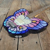 Daisy Rock Butterfly Guitar with Original Gig Bag – Lightweight, Stylish, and Playable