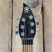 Daisy Rock Butterfly Guitar with Original Gig Bag – Lightweight, Stylish, and Playable