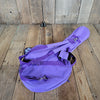 Daisy Rock Butterfly Guitar with Original Gig Bag – Lightweight, Stylish, and Playable