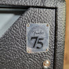 Fender ’65 Deluxe Reverb Reissue 2021 – Black Panel, Near Mint with Cover
