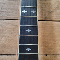 Roy Noble DH-100 Dreadnought Brazillian w/Case 1996