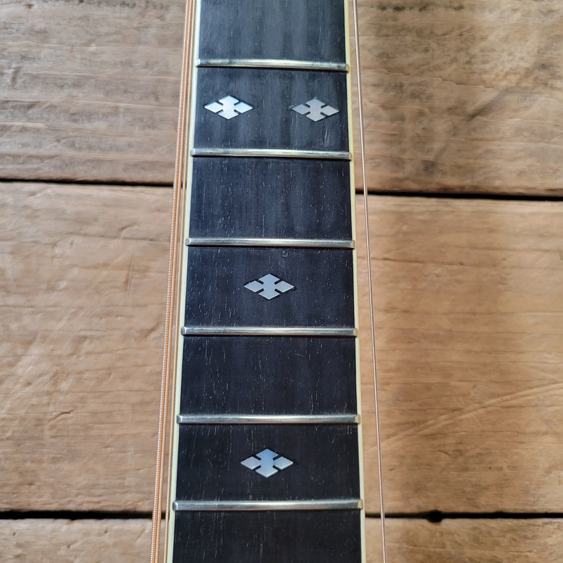 Roy Noble DH-100 Dreadnought Brazillian w/Case 1996