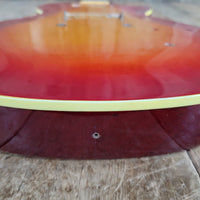 Gibson Les Paul Husk Luthier's Project Body & Neck