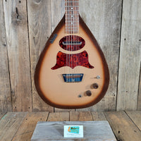 Danelectro Bellzouki 7010 Single Pickup 12-String w/ gig bag Excellent