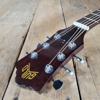 Guild 1975 D-35 NT w/Hard Case Fresh Neck Reset & Refret