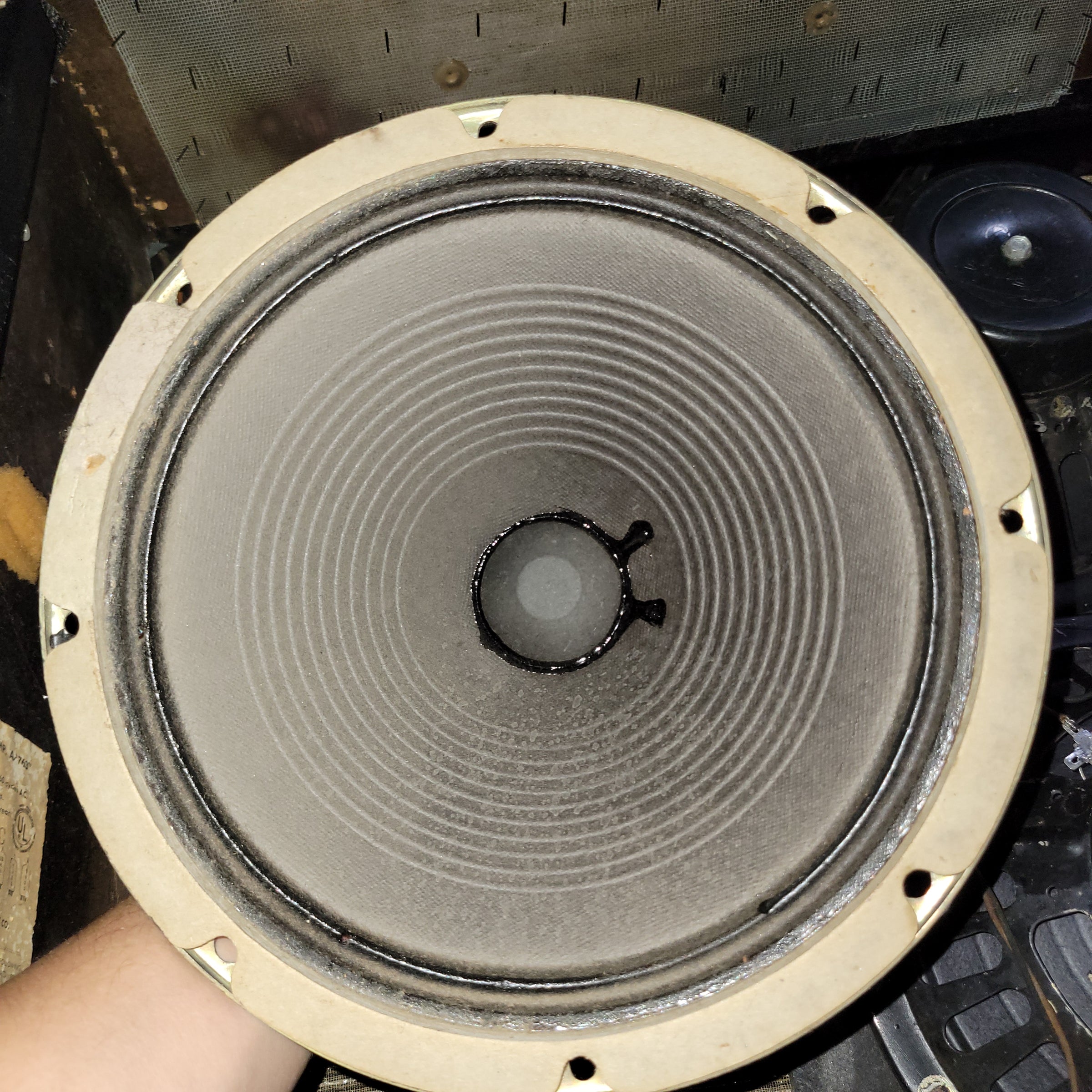 Fender 1964 Concert Amp Pre CBS 4x10