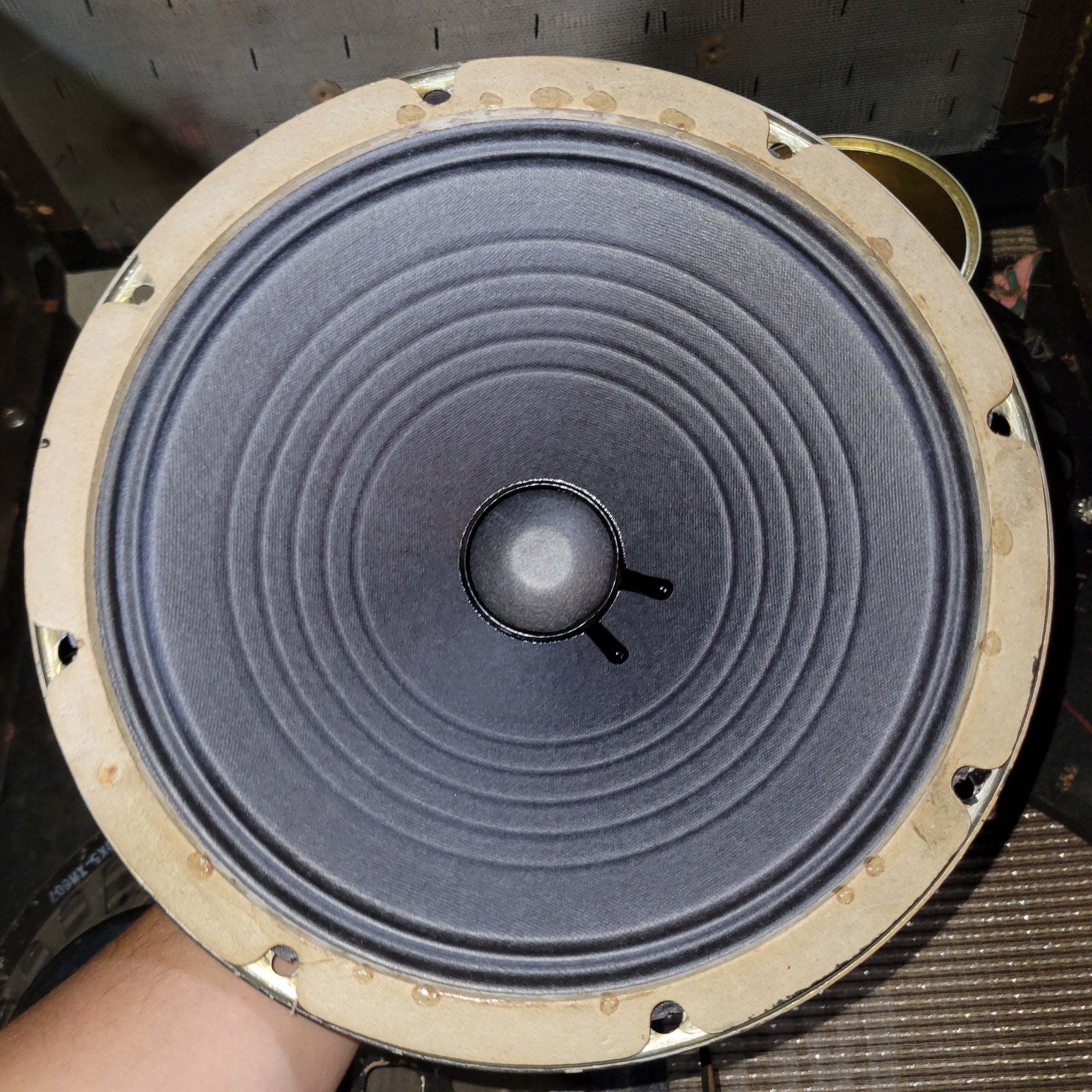 Fender 1964 Concert Amp Pre CBS 4x10